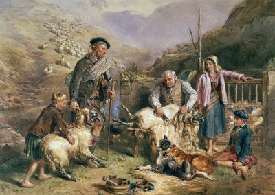 Tosatura delle pecore da John Frederick Tayler